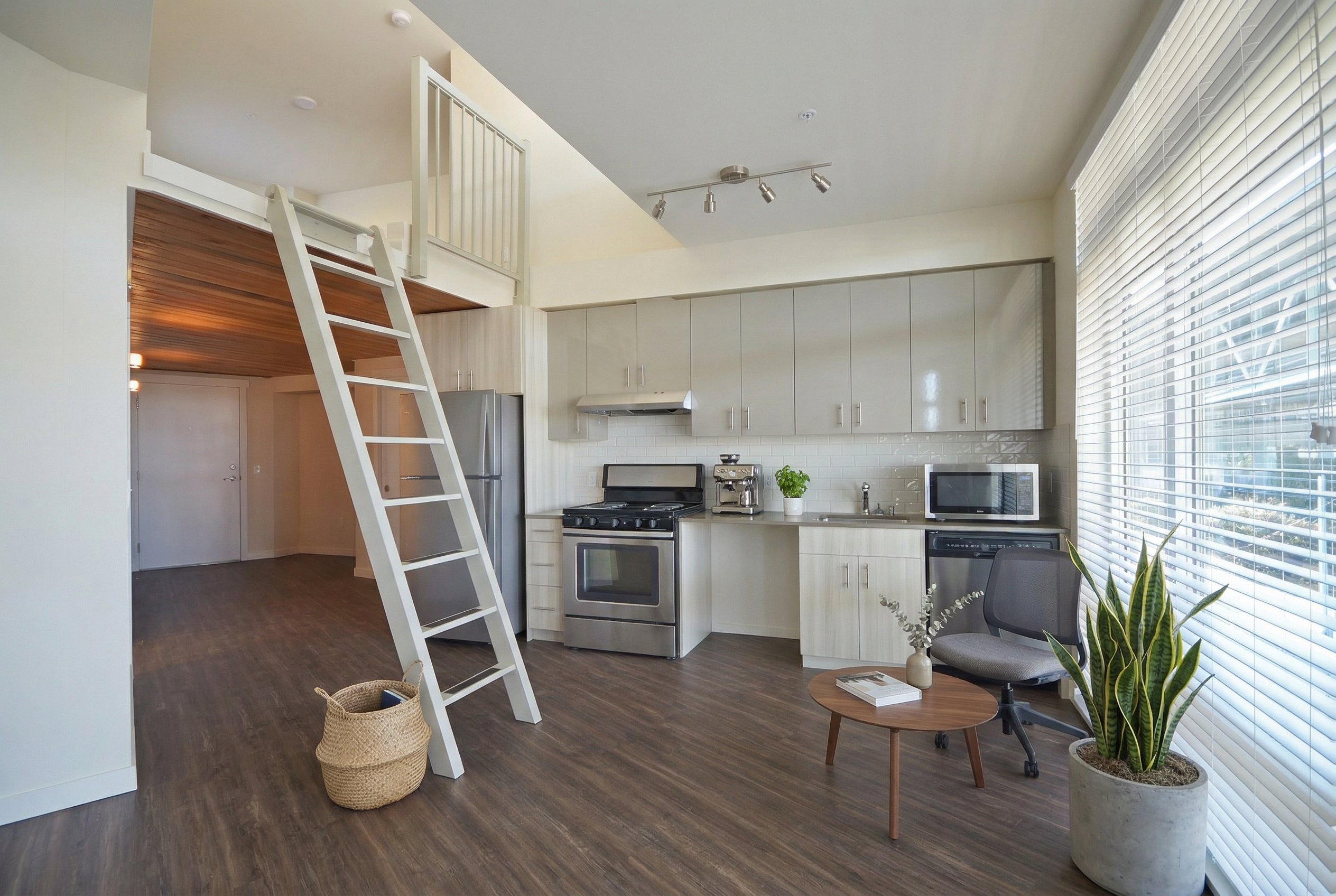 bonavista-1773121997823-2